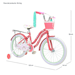 Bicicleta Niña Rosa R 20 Infantil Canastilla Llantitas Little Monkey