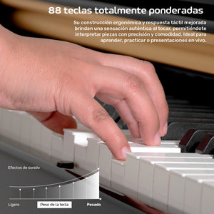 Piano Digital 88 Teclas Teclado Electrico 15v 3a 900 Ritmos