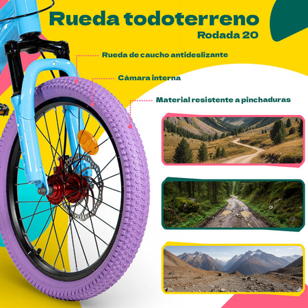 Bicicleta Infantil Rodada 20 Niños Bici Starlight Color Morada