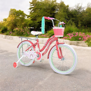Bicicleta Niña Rosa R 20 Infantil Canastilla Llantitas Little Monkey