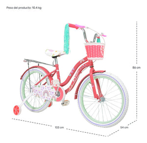 Bicicleta Niña Rosa R 20 Infantil Canastilla Llantitas Little Monkey