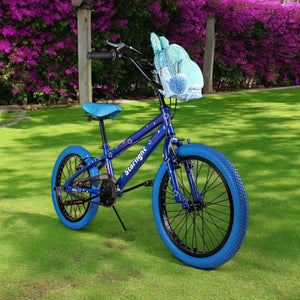Bicicleta Infantil Rodada 20 Niños Bici Starlight Color Azul