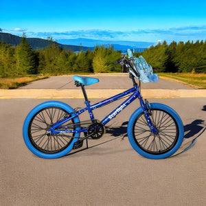 Bicicleta Infantil Rodada 20 Niños Bici Starlight Color Azul