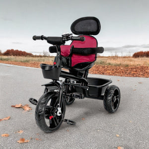 Triciclo Bicicleta Carriola Bebes 2-6 Años Paseo